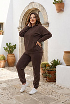 Костюм Спорт Sport Style 115-1023 brown - делук