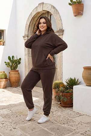 Костюм Спорт Sport Style 115-1023 brown - делук