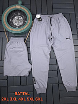 Штаны Спорт Hous Of Timur HT259 l.grey - делук