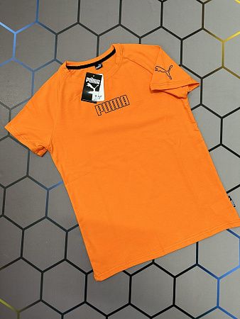 Футболка Alex Clothes 3821 orange - делук