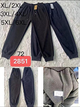 Штаны Спорт Redoor 2851 mix - делук