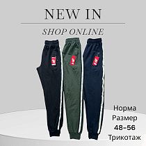 Штаны Спорт Phi Hung P2 khaki - делук