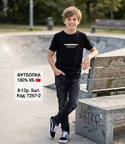 Футболка Amz T267-2 black - делук