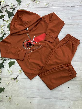 Костюм Спорт No Brand 953 brown - делук