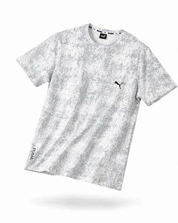 Футболка Alex Clothes 14734 grey - делук