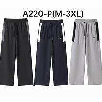 Штаны Спорт Liopt A220P black - делук