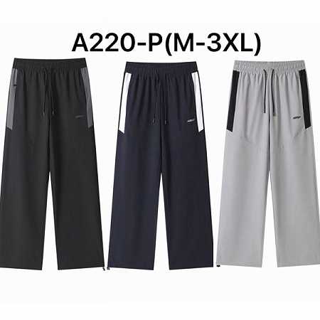 Штаны Спорт Liopt A220P black - делук