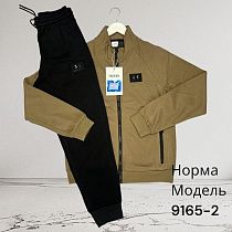 Костюм Спорт Hai 9165-2-1 camel - делук