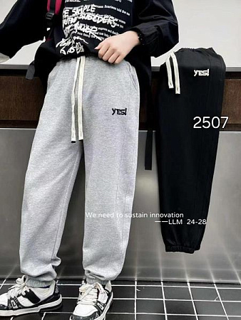 Штаны Спорт Фунтик 2507 grey - делук