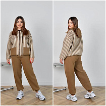 Костюм Спорт Saint Wish 25005-09 brown - делук