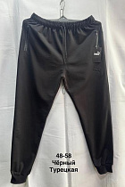 Штаны Спорт Minh MH1154 black - делук