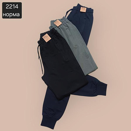 Штаны Спорт Moranny 2214 khaki - делук