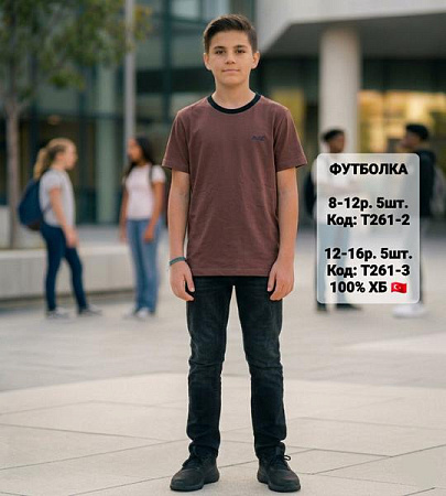 Футболка Ibambino T261-2 brown-black - делук