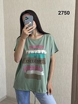 Футболка Fsn 2750 mint - делук
