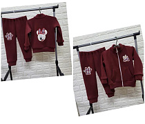 Костюм Спорт Proschenko PR645 wine - делук