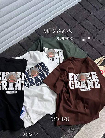 Футболка Фунтик M2842 white - делук