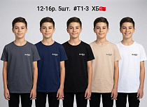 Футболка Amz T1-3 beige - делук