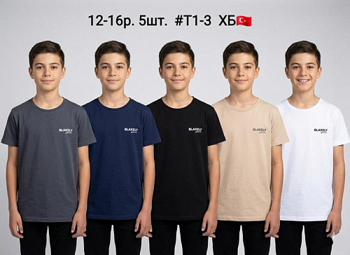 Футболка Amz T1-3 beige - делук