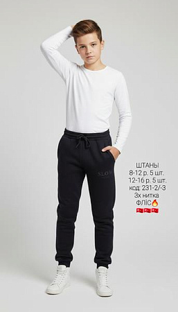 Штаны Спорт Amz 231-3 black - делук