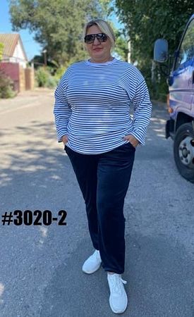 Штаны Спорт Bat 3020-2 navy - делук