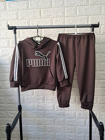 Костюм Спорт Proschenko PR1362 brown - делук