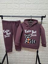 Костюм Спорт Boys&Girls BG412 brown - делук