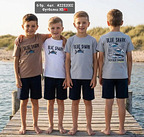 Футболка Amz 2252002 grey - делук