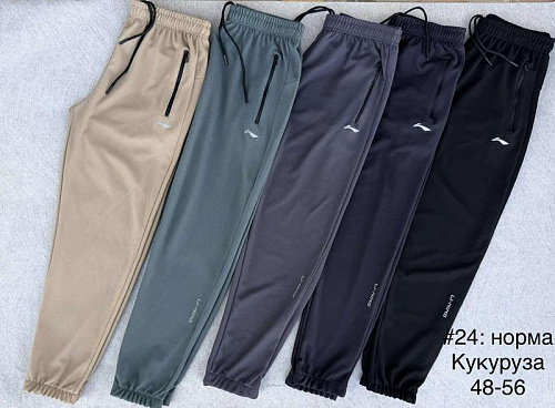 Штаны Спорт Shon 24 beige - делук