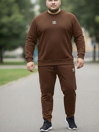 Костюм Спорт Zalov ZW1212 brown - делук