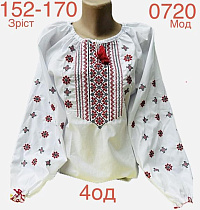 Вышиванка Надийка ND861-0720 white - делук