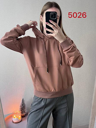 Худи Fsn 5026 brown - делук