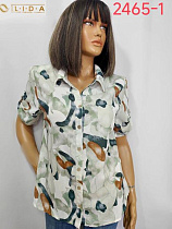Рубашка Lida 2465-1 olive - делук