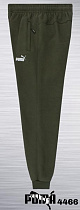 Штаны Спорт Azt AZ1089-4466 green - делук