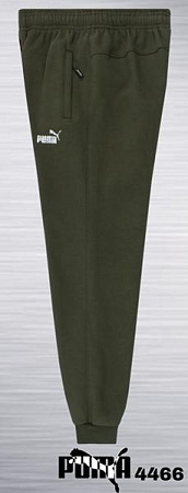Штаны Спорт Azt AZ1089-4466 green - делук