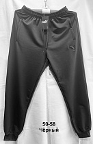 Штаны Спорт Minh MH1164 black - делук