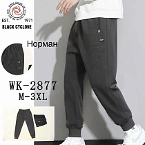 Штаны Спорт Giang 2877 navy - делук