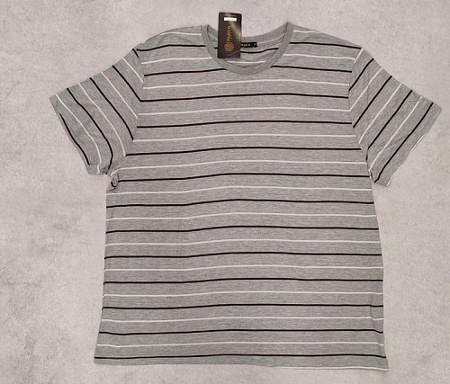 Футболка Samo 2058 grey - делук