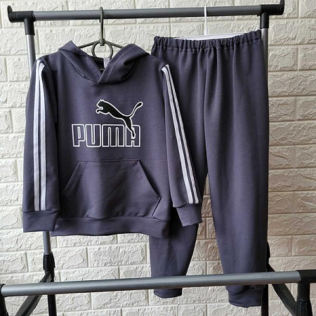 Костюм Спорт Proschenko PR814 grey - делук