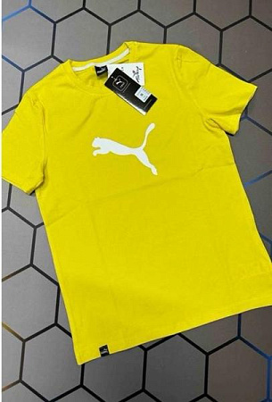 Футболка Alex Clothes 13083 yellow - делук