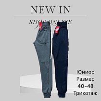 Штаны Спорт Phi Hung P52 grey - делук