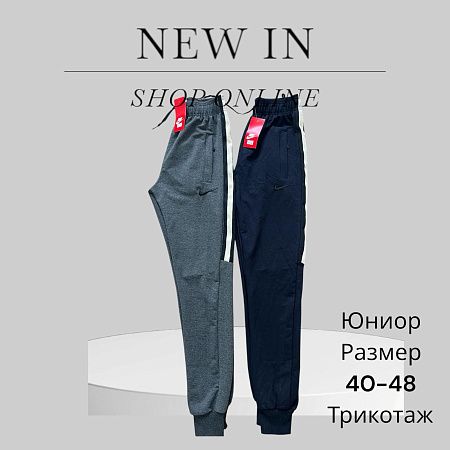 Штаны Спорт Phi Hung P52 grey - делук