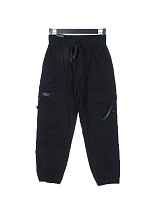 Штаны Спорт Cnd2 4296-BR1920-1 - делук