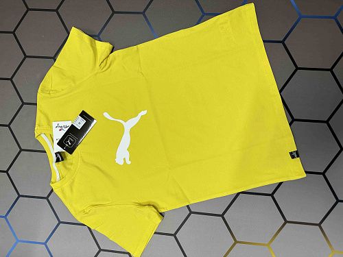 Футболка Alex Clothes 4910 yellow - делук