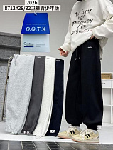 Штаны Спорт Chicwear 8712 navy - делук