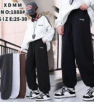 Штаны Спорт Farbique 1888 grey - делук