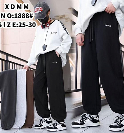 Штаны Спорт Farbique 1888 grey - делук
