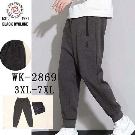 Штаны Спорт Giang WK2869 grey - делук