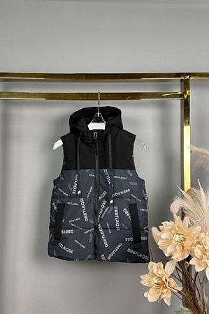 Жилетка Delfinka K21-2 grey - делук