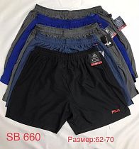Шорты Peng SB660 navy Шорты Peng SB660 navy - делук