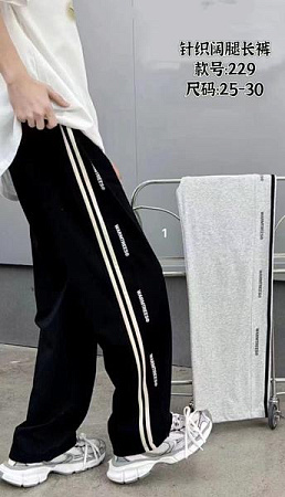 Штаны Спорт Farbique 229 grey - делук